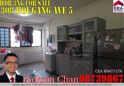 Blk 308 Hougang Avenue 5 (Hougang), HDB 3 Rooms #120511282